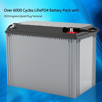 6000 サイクル以上 LiFePO4 バッテリー パック IP65 侵入保護と EES-6mm 迅速プラグ端末