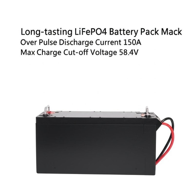長持ちする LiFePO4 バッテリー パック 6000 サイクル以上 マックス パルス 放電 電流 150A マックス 充電 切断電圧 58.4V